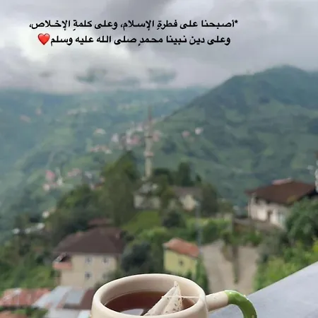 Poyraz 1 Chalet *